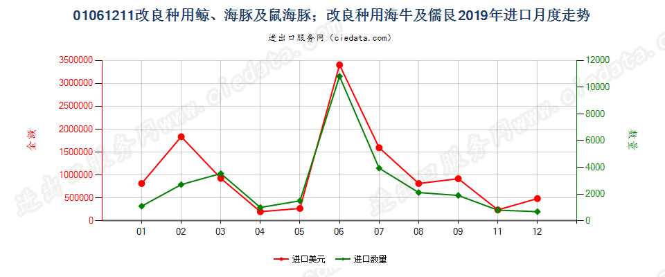 01061211改良种用鲸、海豚及鼠海豚；改良种用海牛及儒艮进口2019年月度走势图